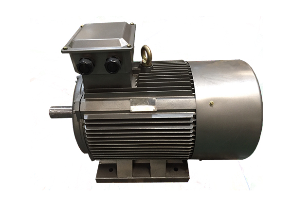 Y2系列低壓鑄鐵TEFC高效三相異步感應(yīng)電動機(jī)