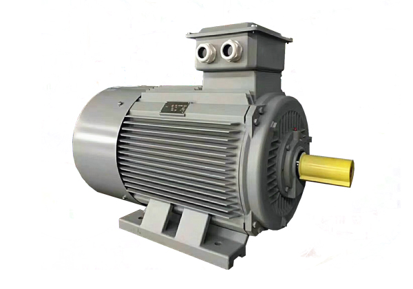 Y2系列低壓鑄鐵TEFC高效三相異步感應(yīng)電動機(jī)