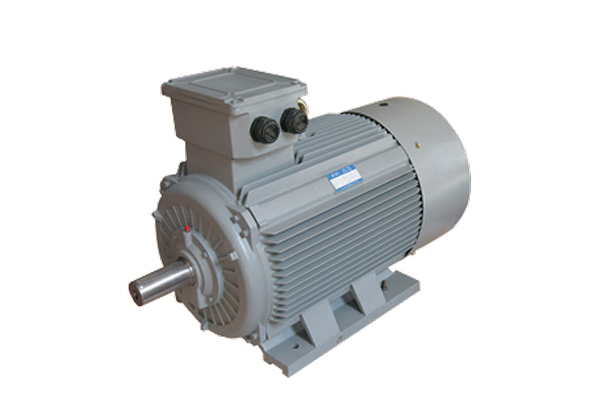 Y2系列低壓鑄鐵TEFC高效三相異步感應(yīng)電動機(jī)