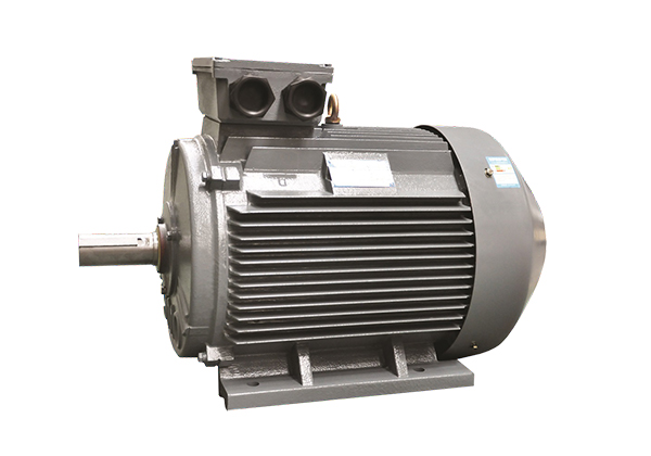 YE2系列低壓鑄鐵高效三相異步感應(yīng)電動機(jī)